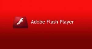 Flash Player Crítica by El Desarrollador Web